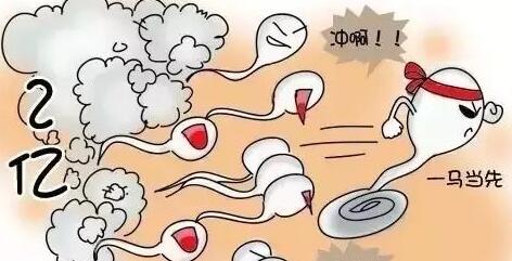 備孕女性
