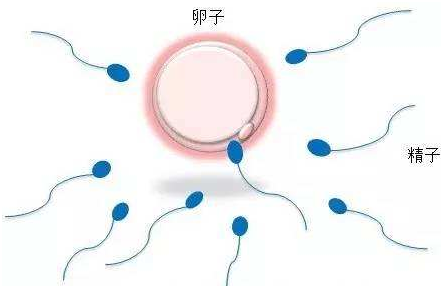 墮胎懺悔文