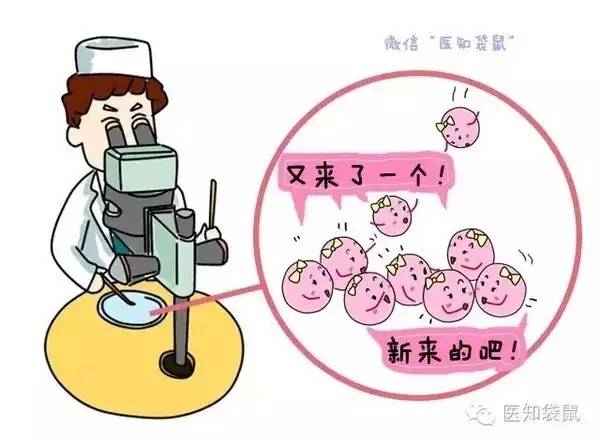 備孕飲食