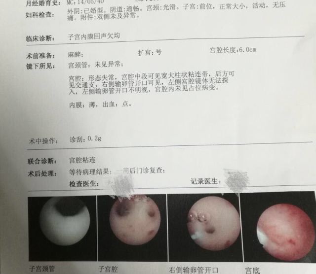 女性備孕男寶