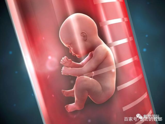 女性備孕男寶吃什么堿性