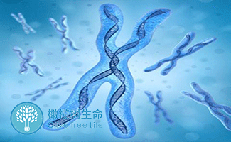 排卵期
