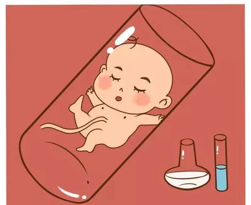 女性取卵